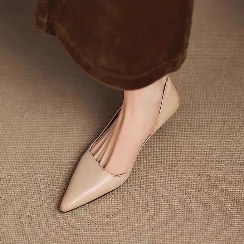 Dames puntschoen stiletto hakk - Women'S Shoes In Fashion recensie en prijs